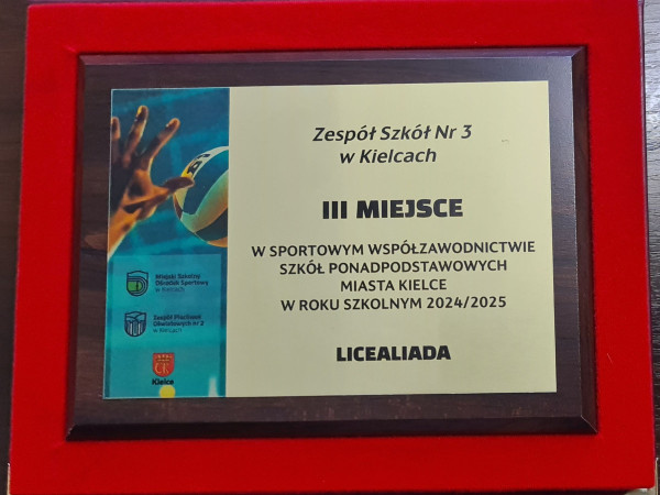3 miejsce w sportowym współzawodnictwie