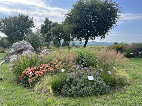 Klomby z roślinami w ogrodzie botanicznym.