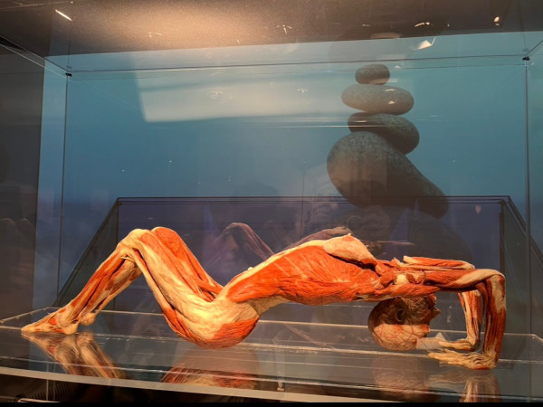 Kobieta uprawiająca jogę 