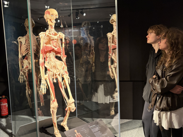 Uczniowie podziwiający eksponaty na wystawie Body Worlds