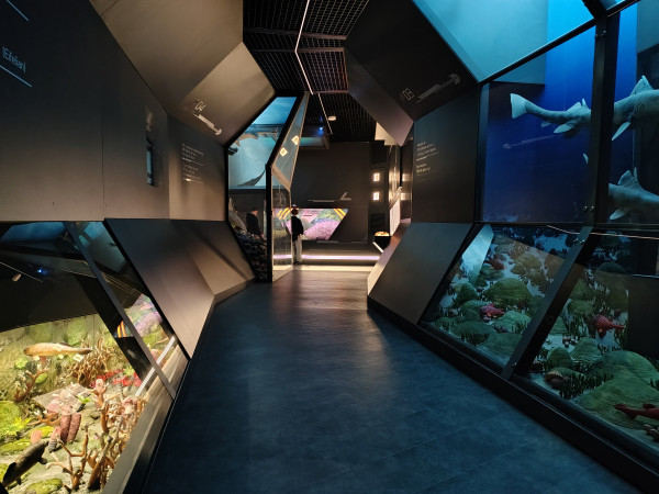 Ekspozycja dziejów Ziemi w budynku Geonatura Wietrznia Kielce