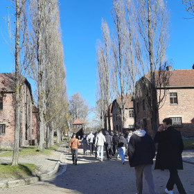 uczniowie idą pomiędzy blokami obozowymi w Oświęcimiu