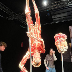 Skok o tyczce i układ trawienny