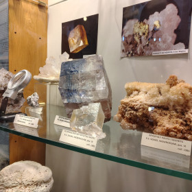 Okazy skał i minerałów w muzeum uczelni