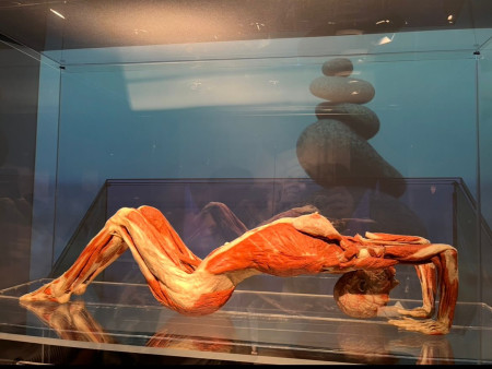 Kobieta uprawiająca jogę 