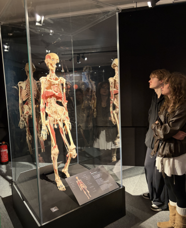 Uczniowie podziwiający eksponaty na wystawie Body Worlds