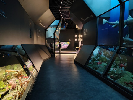 Ekspozycja dziejów Ziemi w budynku Geonatura Wietrznia Kielce